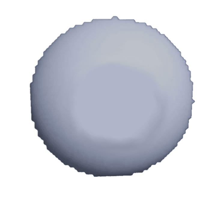 White Eye